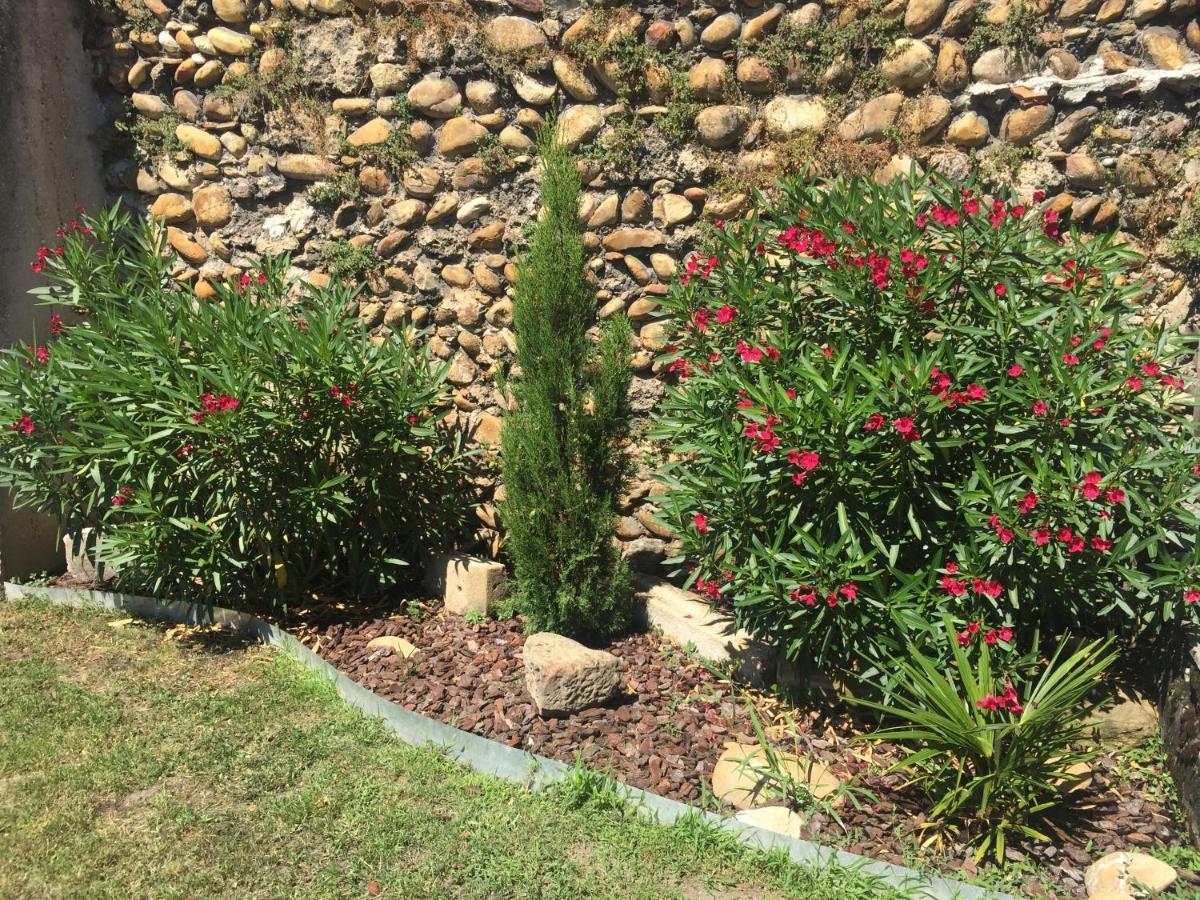 Le Charles IX Apartment Roussillon  Luaran gambar