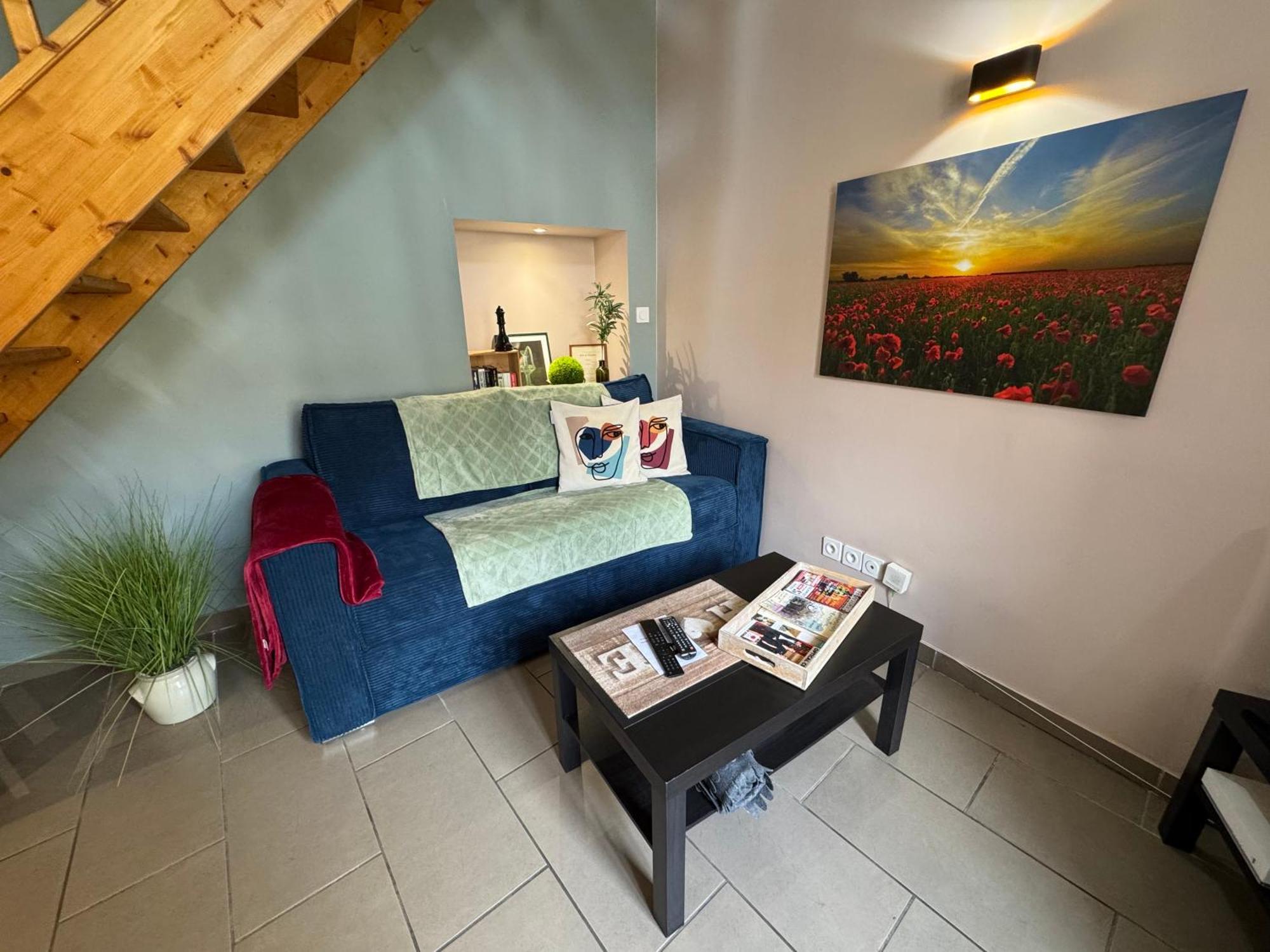 Le Charles IX Apartment Roussillon  Luaran gambar